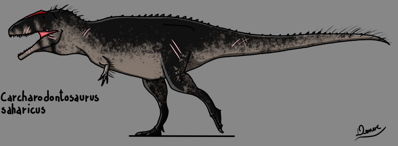 Carcharodontosaurus by DenerDPaleoarts on DeviantArt