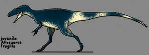 Juvenile Allosaurus