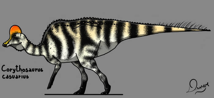 Explore The Best Corythosaurus Art DeviantArt explore-the-best-corythosaurus-art-deviantart