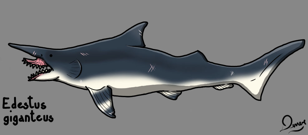 Edestus by DenerDPaleoarts on DeviantArt