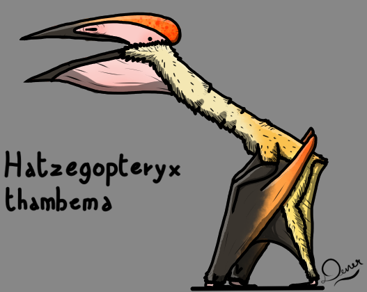 Hatzegopteryx By DenerDPaleoarts On DeviantArt hatzegopteryx-by-denerdpaleoarts-on-deviantart