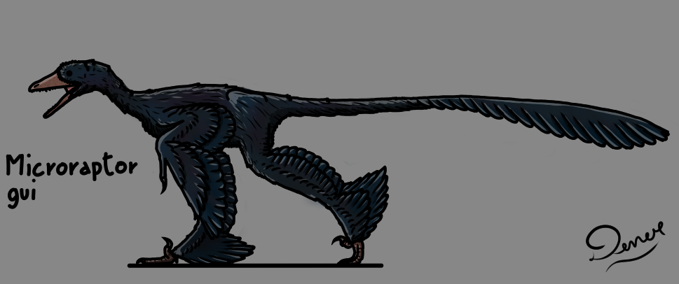 Microraptor by DenerDPaleoarts on DeviantArt