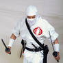 Cobra Ninja: Storm Shadow