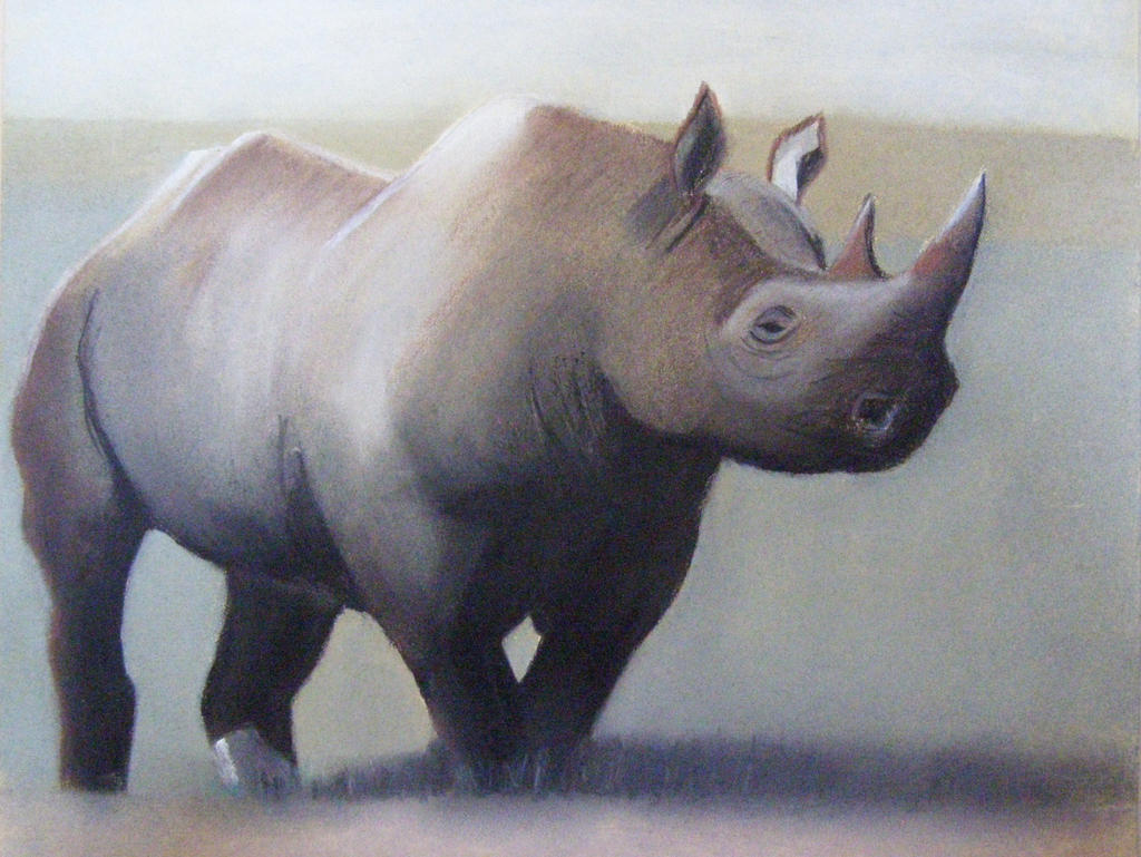 Rhino by professorwagstaff on DeviantArt