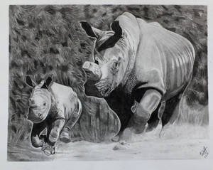 Rhino with rhino calf in pencil