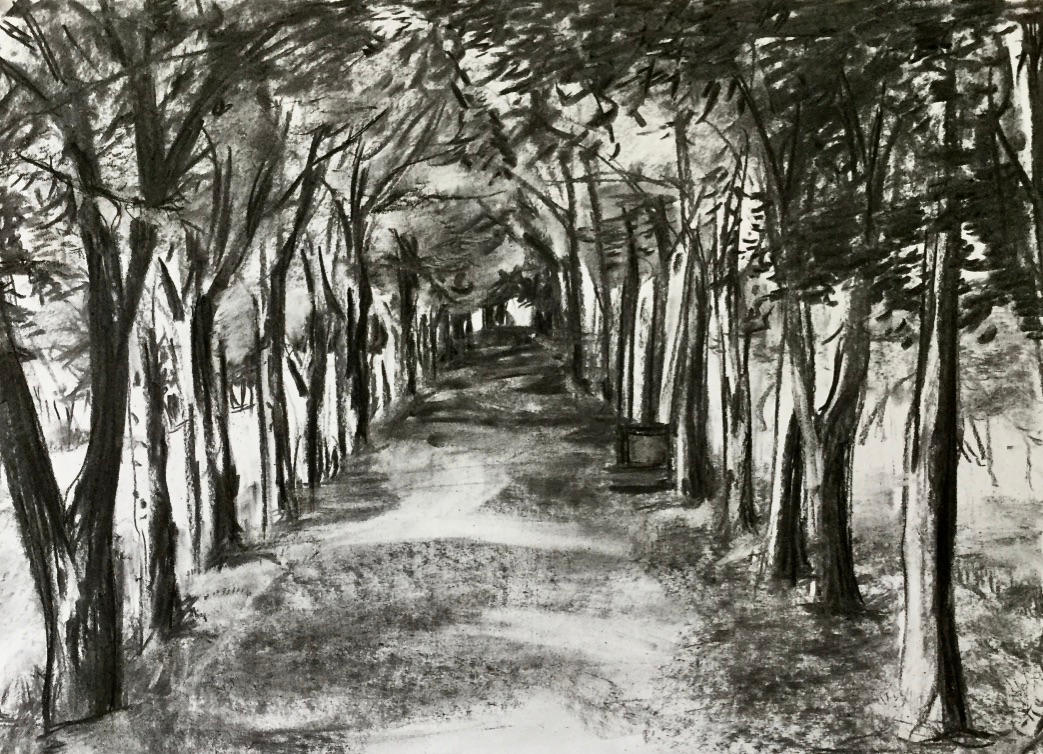 Tree One Point Drawing One Point Perspective Forest Drawing 58 One Point Perspective Lessons