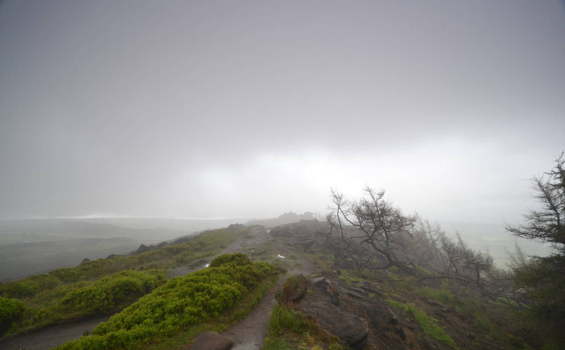 Misty Ridge Misty Ridge by MayGoldworthy on DeviantArt