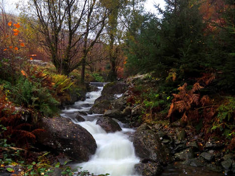 River on Helvellyn 2