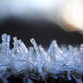 Frost