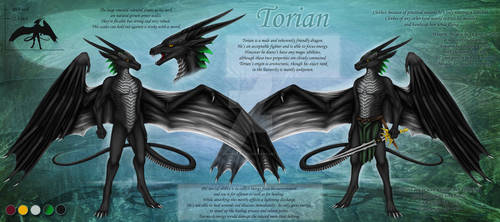 Torian's Refsheet - Anthro