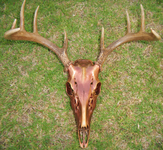 Copper Whitetail Skull with Brushed Gold, FS