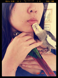 Birdy Love