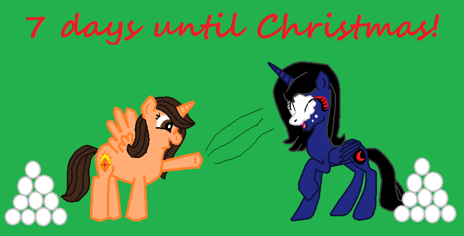 Pony Christmas Countdown (7)