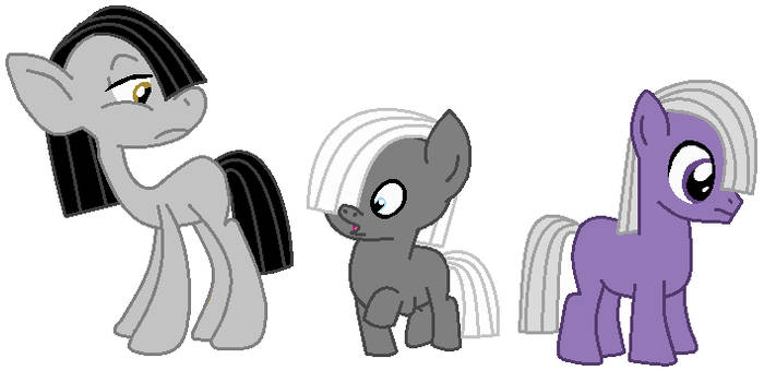 Iggy, Metty, and Seddie