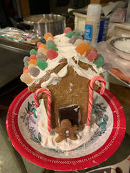 My Homemade Gingerbread House