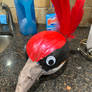 Masked Singer Woodpecker Pumpkin
