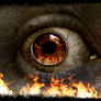 Eye of flames