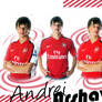 Arshavin in Arsenal