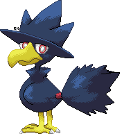 Murkrow