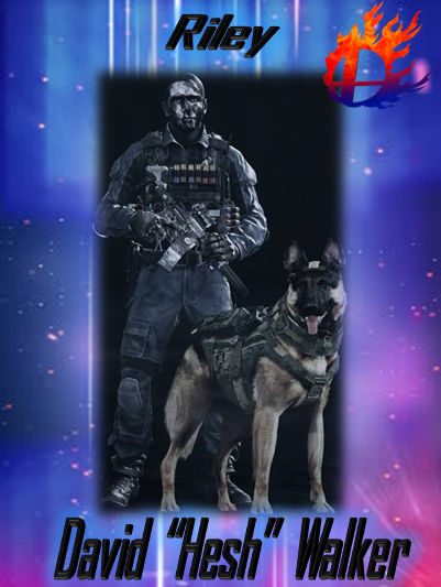 New Super Smash Universe Poster 12: Hesh and Riley by Marioexpert on ...