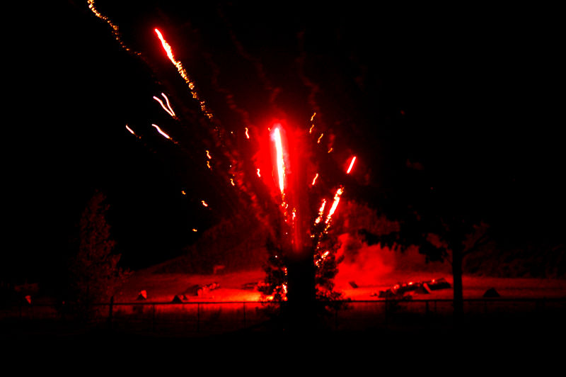 Exploding Tree by kitsuneko-xenon on DeviantArt