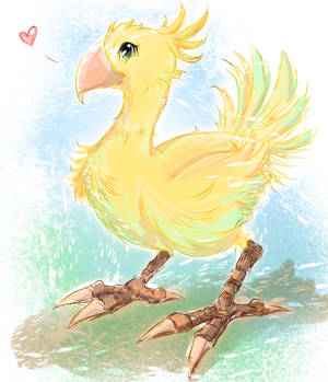 Chocobo