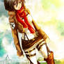 Mikasa