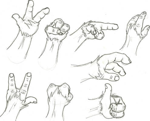 Tauren Hand Study