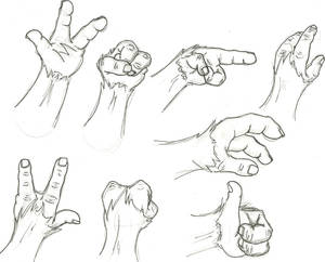 Tauren Hand Study