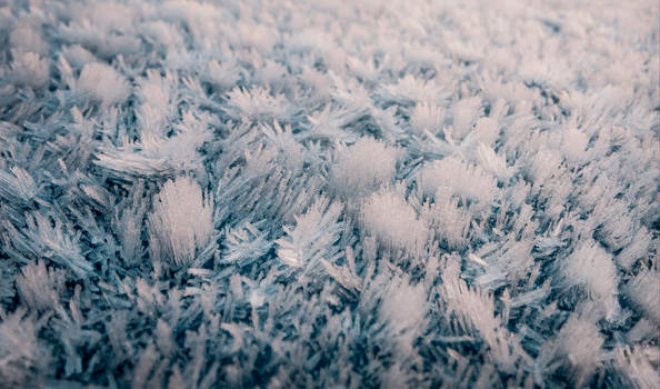 Frosty Bonnet