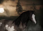 Bathory by deehlia Bathory by deehlia