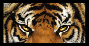 Tiger look, de CassiopeiaArt