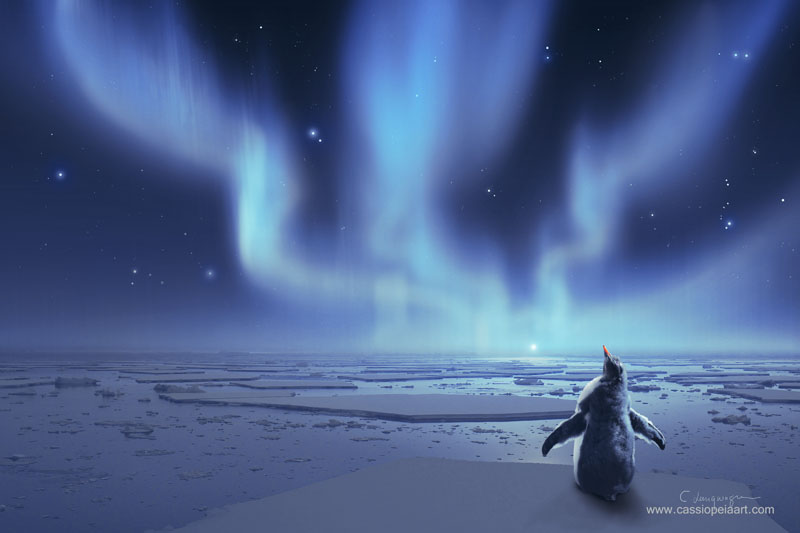 Penguin Dreams