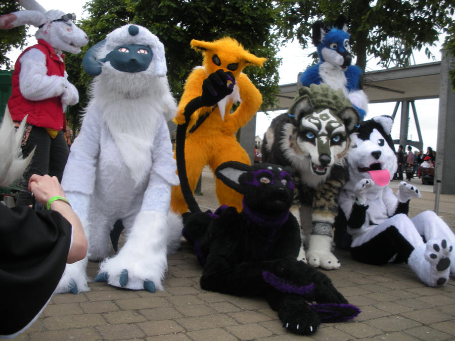 Fursuit meet 2