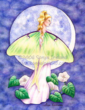 Luna Fairy