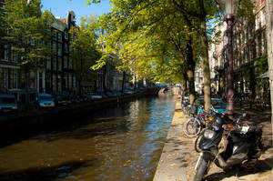 Trees, Bicycles and a Canal