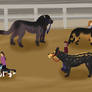 Derpys' first in show