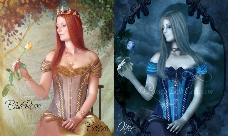 Blue Rose Before n' After