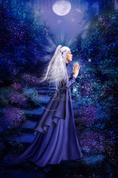 I'll Say a Little Prayer For