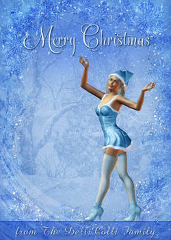 Merry Christmas 2010