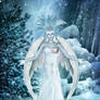 Winter Angel