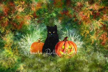 Samhain - Black Cat
