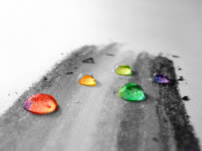 Colorful Color Splash