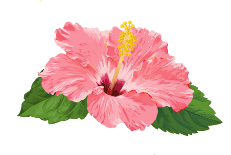 Flor PNG by FrutillitasDulces on DeviantArt Flor PNG by FrutillitasDulces on DeviantArt