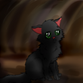 Hollyleaf in the tunnels