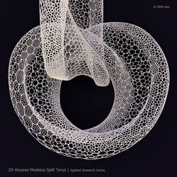2D Voronoi Moebius Split Torus