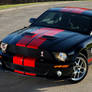 2008 Shelby GT500