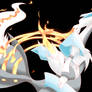 White Kyurem