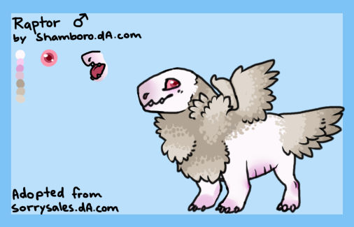 Raptor reference sheet by Shamboro on DeviantArt