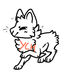 Foxfan or Fox YCH